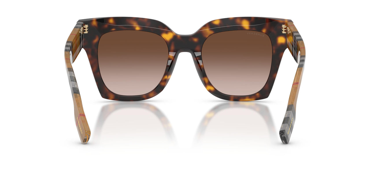 425113 - Brown - Brown Gradient