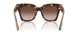 425113 - Brown - Brown Gradient