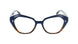 C92 - Navy Tortoise