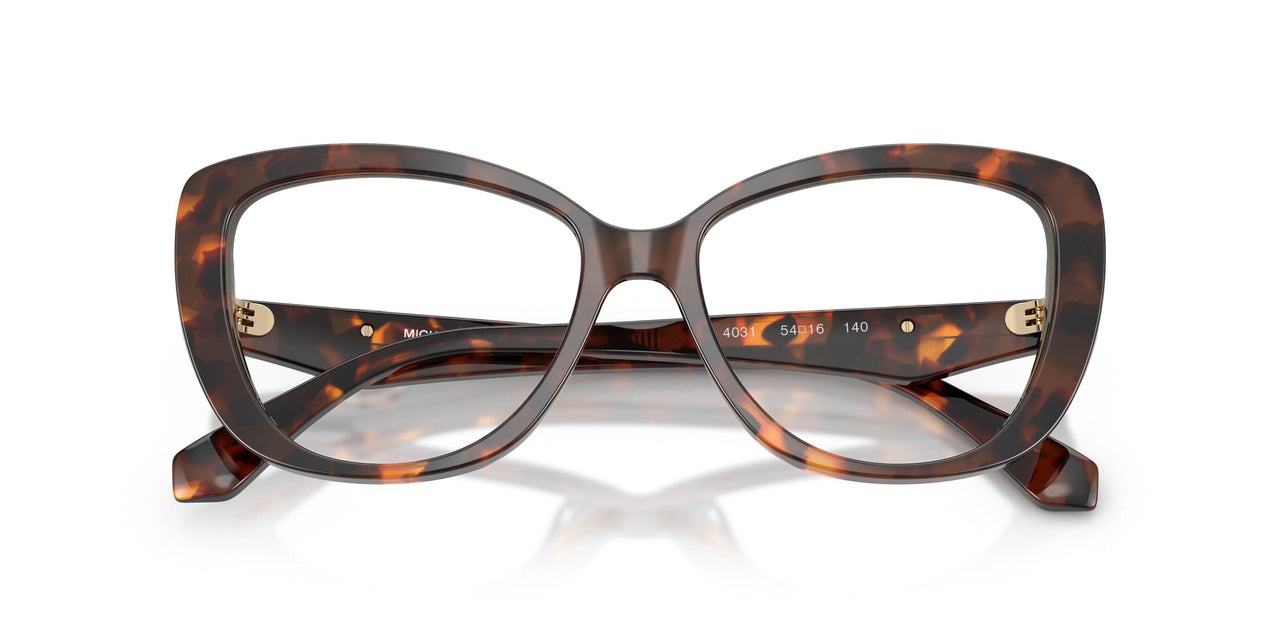 4031 - Tortoise