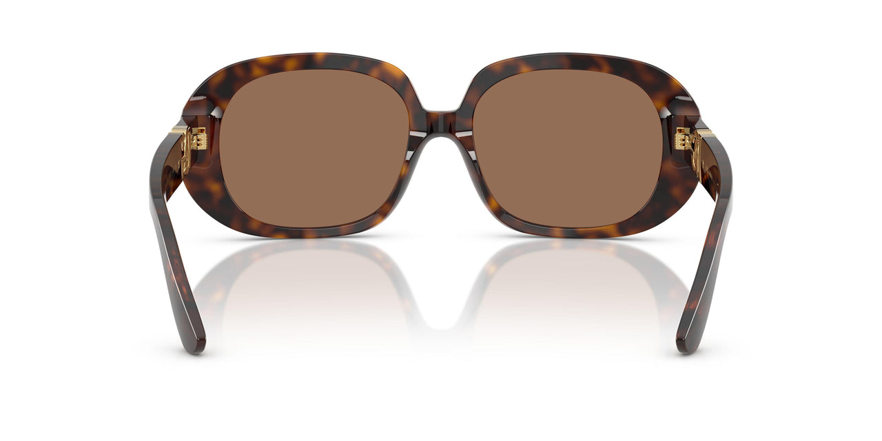 502/73 - Tortoise - Dark Brown