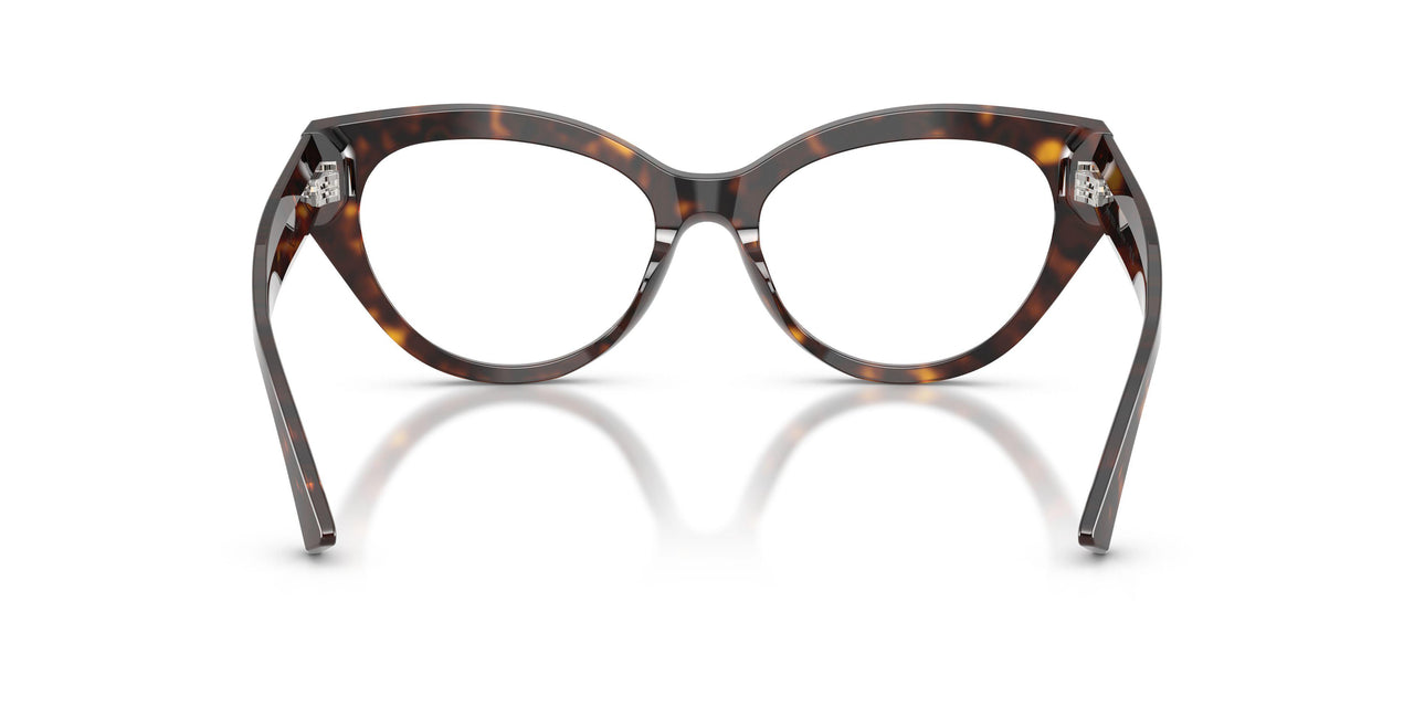 5113 - Tortoise