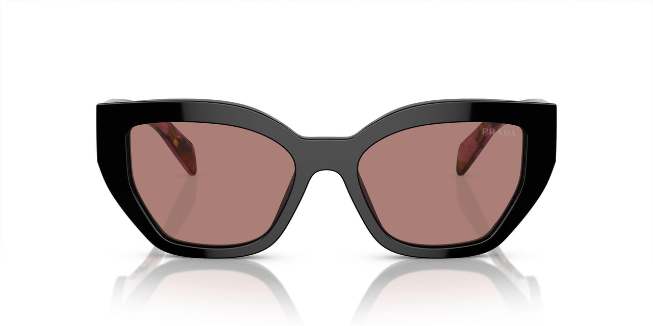 12O10D - Violet - Light Brown