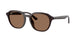 Ray-Ban 4459D Sunglasses