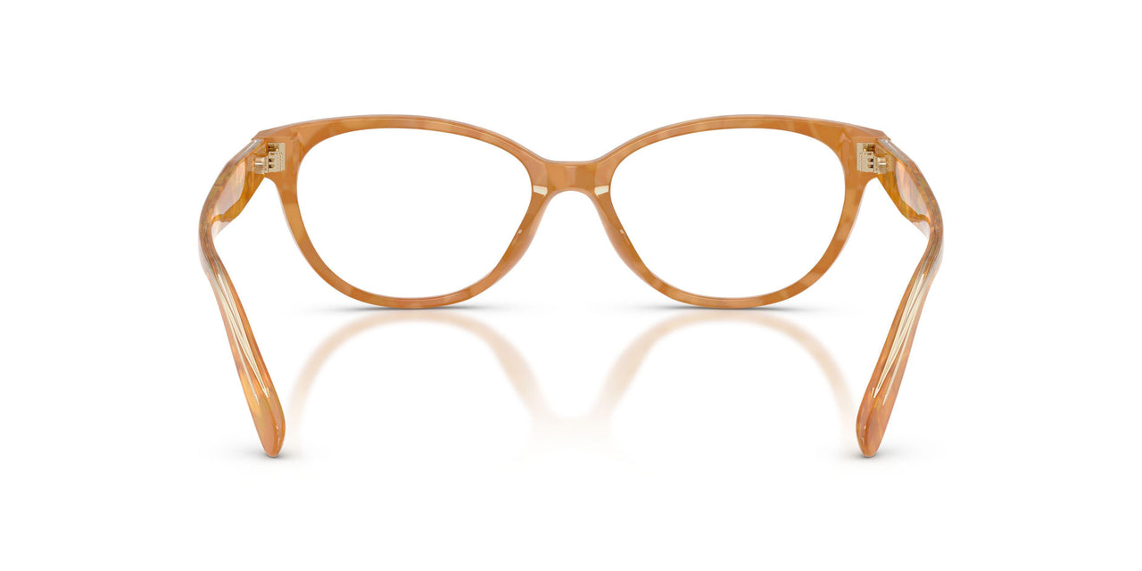 5939 - Tortoise