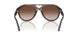 196413 - Tortoise - Brown Gradient