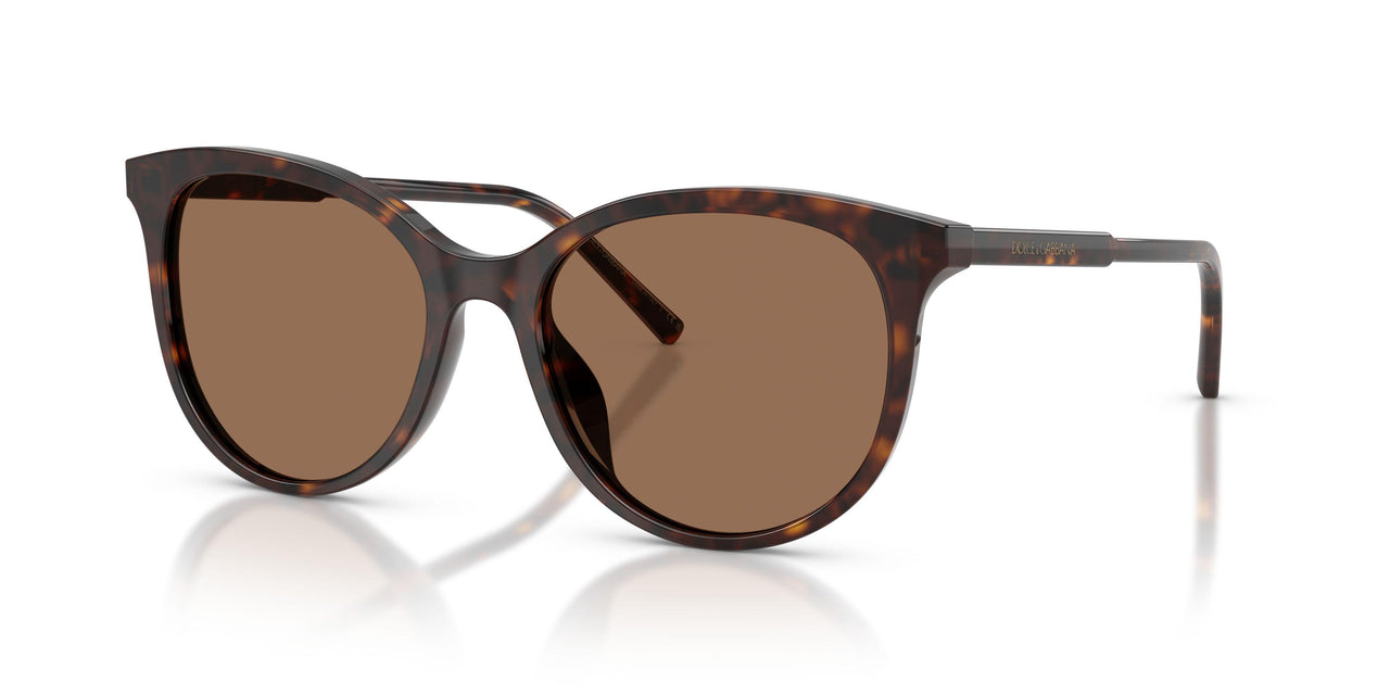 502/13 - Tortoise - Dark Brown