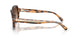 608913 - Tortoise - Gradient Brown