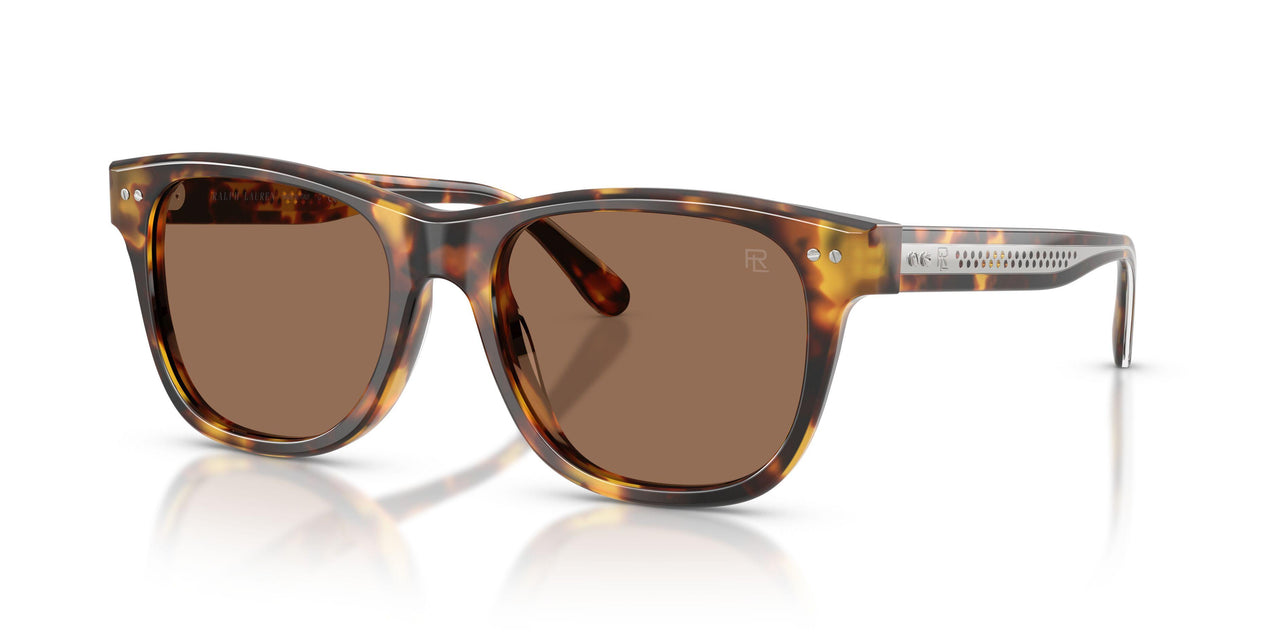 513473 - Tortoise - Brown