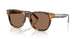 513473 - Tortoise - Brown