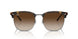 710/13 - Tortoise - Brown