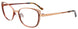 10 - Matt Gold & Dark Brown
