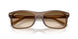 664051 - Brown - Clear Gradient Brown