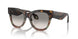 587932 - Brown - Clear Gradient Grey