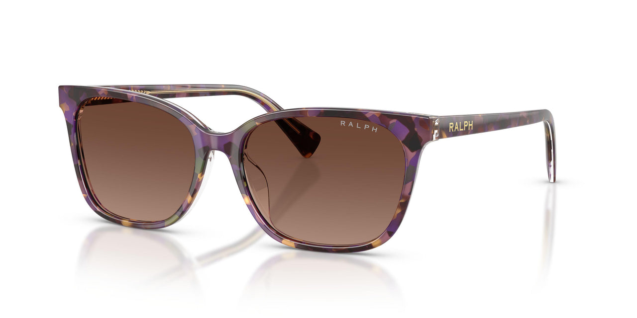 6303T5 - Tortoise - Polar Gradient Brown