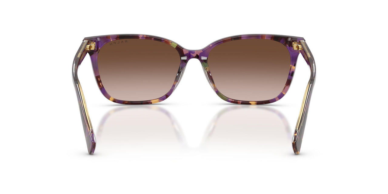 630313 - Tortoise - Gradient Brown