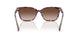 630313 - Tortoise - Gradient Brown