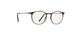 3040 - Havanna Wineyard Green