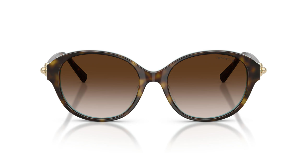 81343B - Brown - Brown Gradient