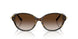 81343B - Brown - Brown Gradient