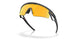 953103 - Grey - Prizm 24k Polarized