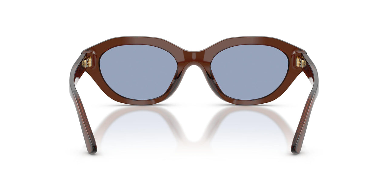 63531U - Brown - Light Blue Mirror Silver