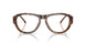 2050 - Brown