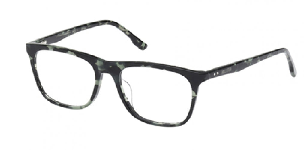 HOLLISTER 50044 Eyeglasses