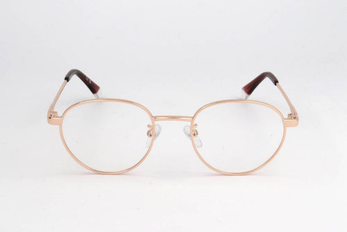 Polaroid PLDD522_G Eyeglasses