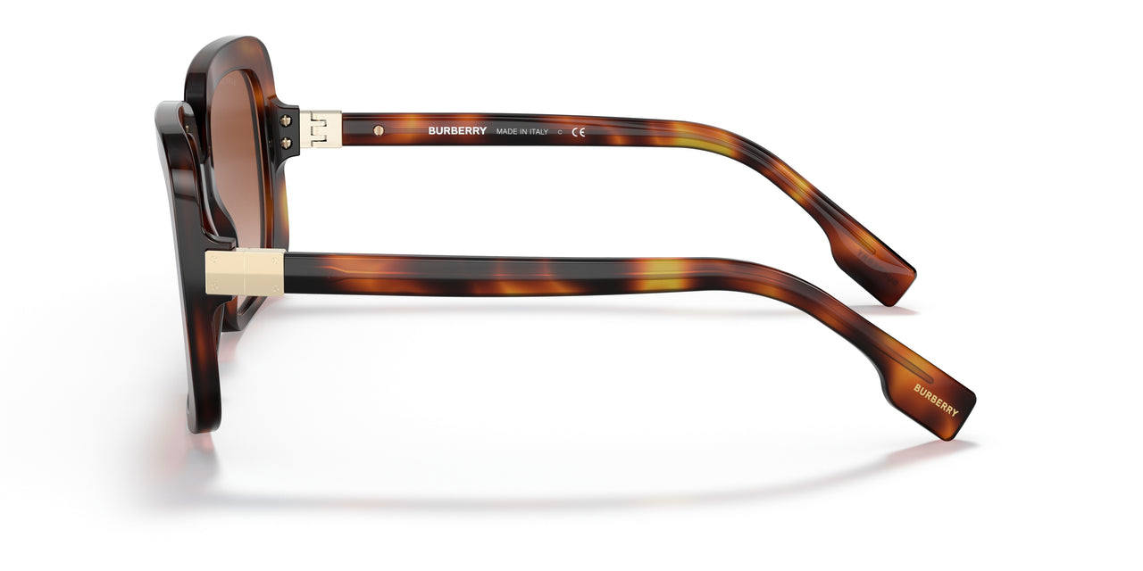 331613 - Havana - Brown Gradient