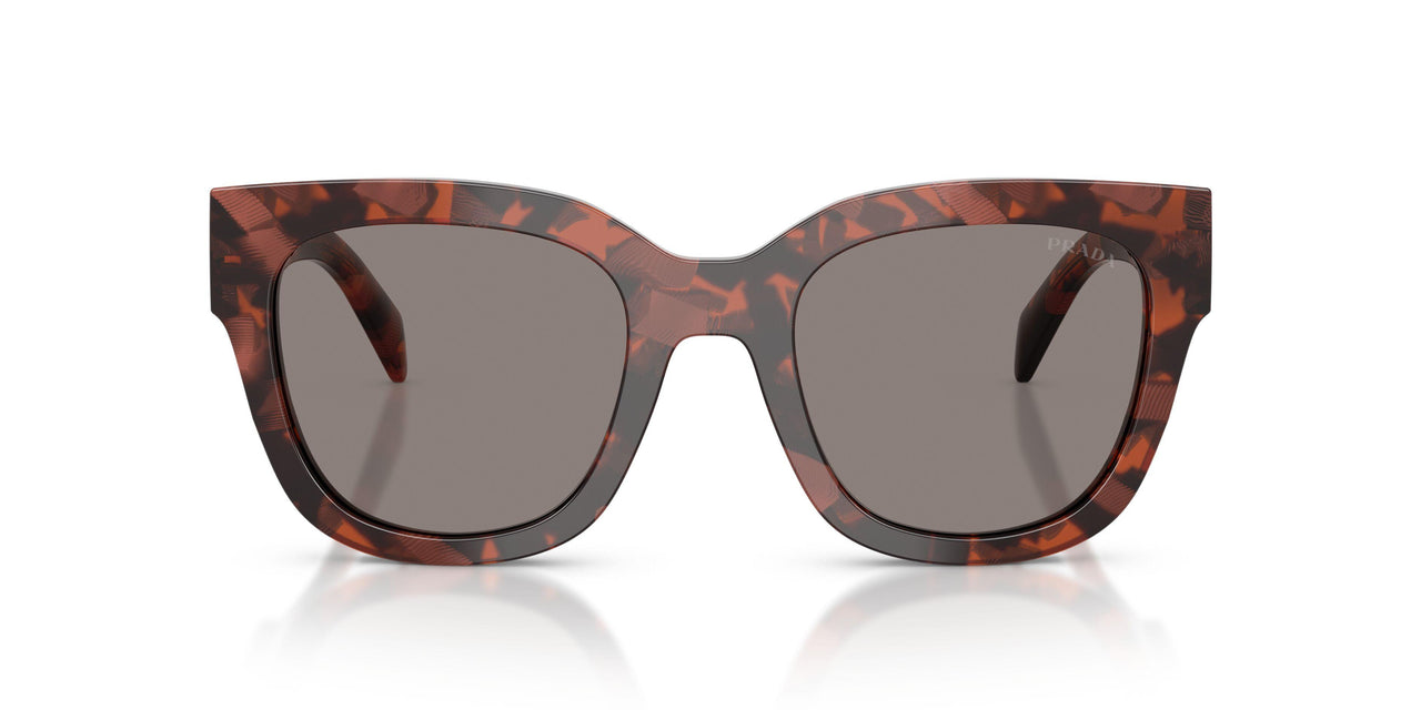 23F80Q - Tortoise - Dark Grey