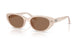 678673 - Brown - Dark Brown