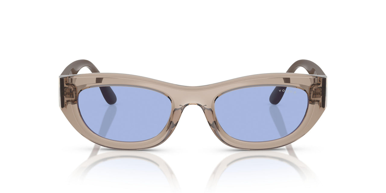 318172 - Brown - Blue