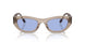 318172 - Brown - Blue