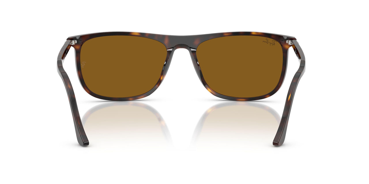 902/33 - Tortoise - Brown