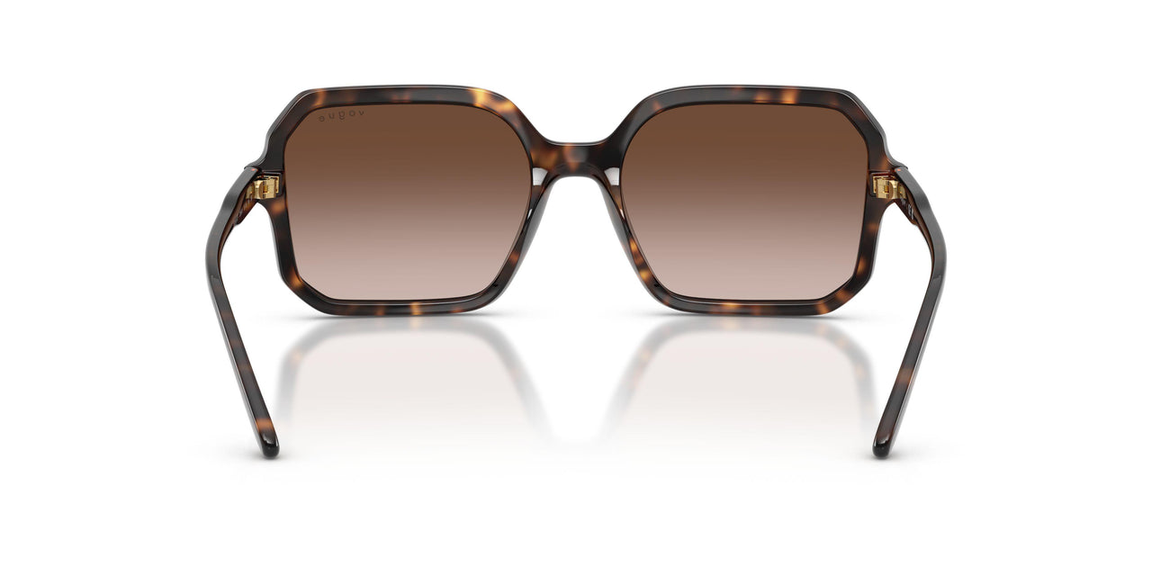 238613 - Brown - Gradient Brown