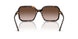 238613 - Brown - Gradient Brown