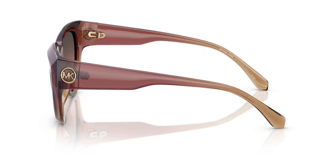 325611 - Pink - Brown Rose Gradient
