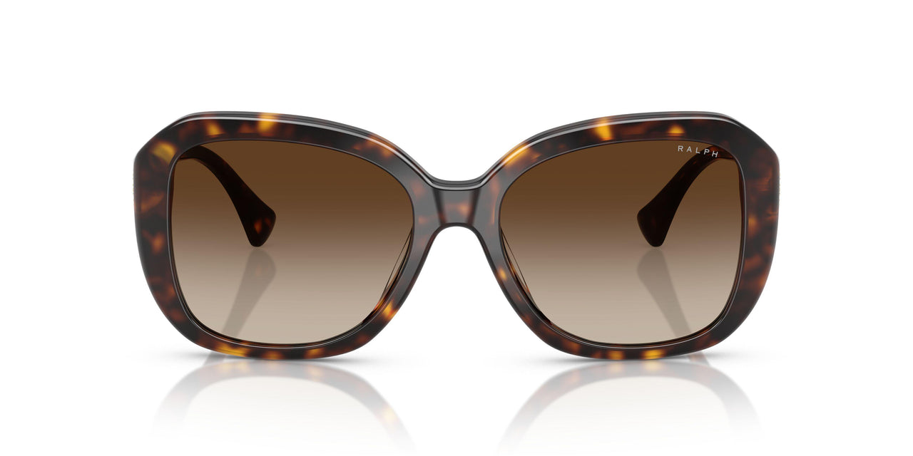 500313 - Brown - Gradient Brown