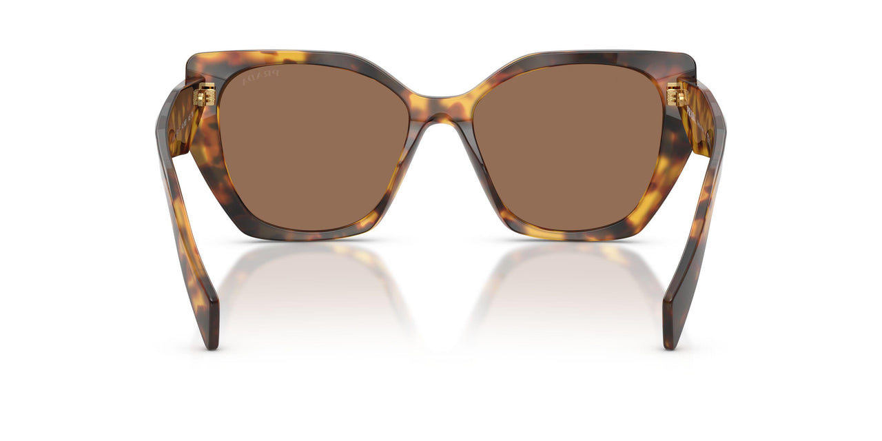 14L06B - Tortoise - Dark Brown