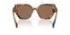 14L06B - Tortoise - Dark Brown