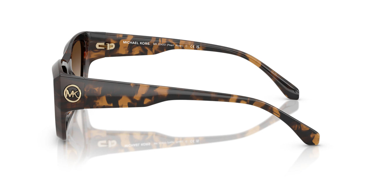 300613 - Tortoise - Smoke Gradient