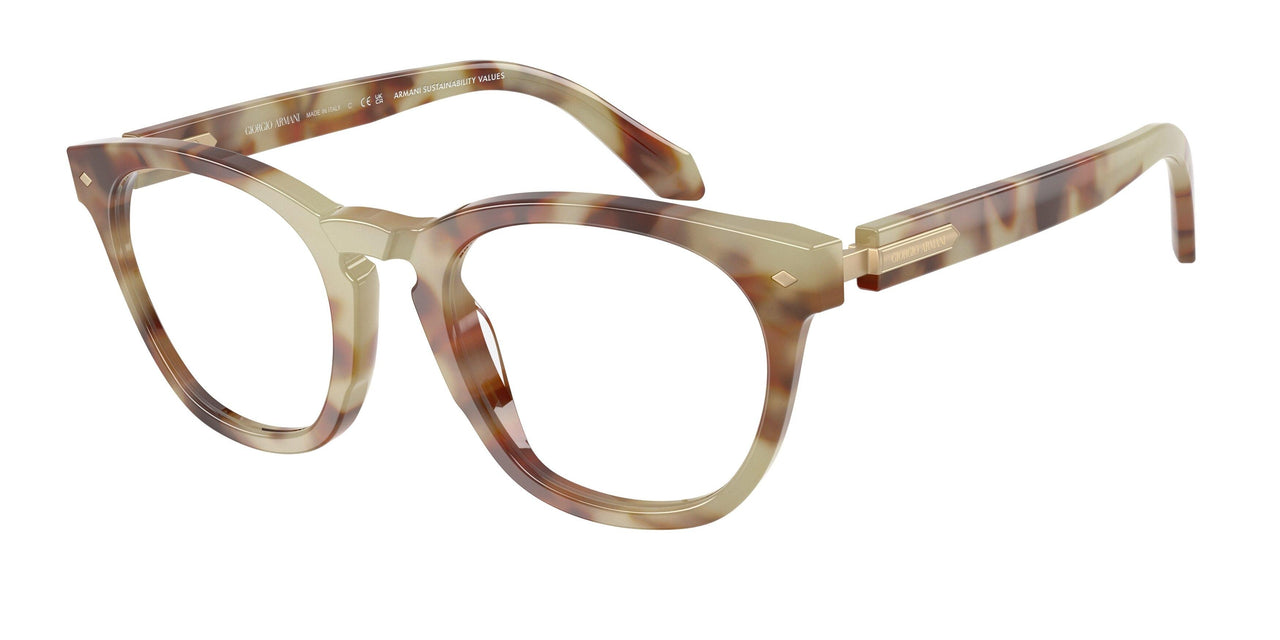 6299 - Tortoise