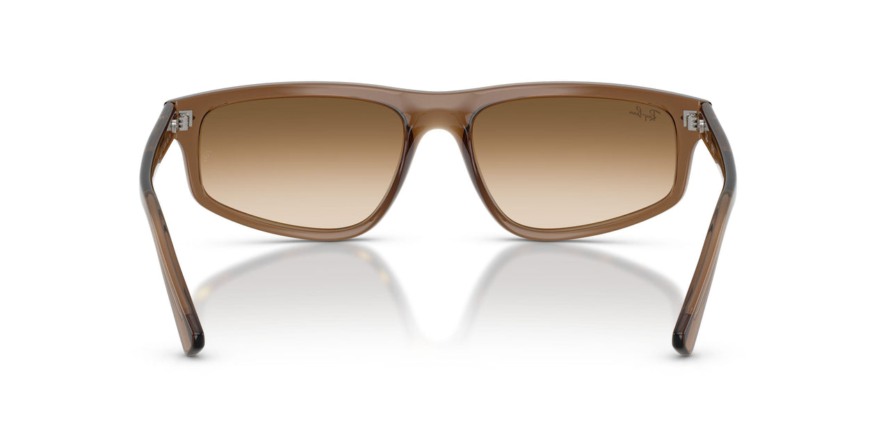 664051 - Brown - Clear Gradient Brown