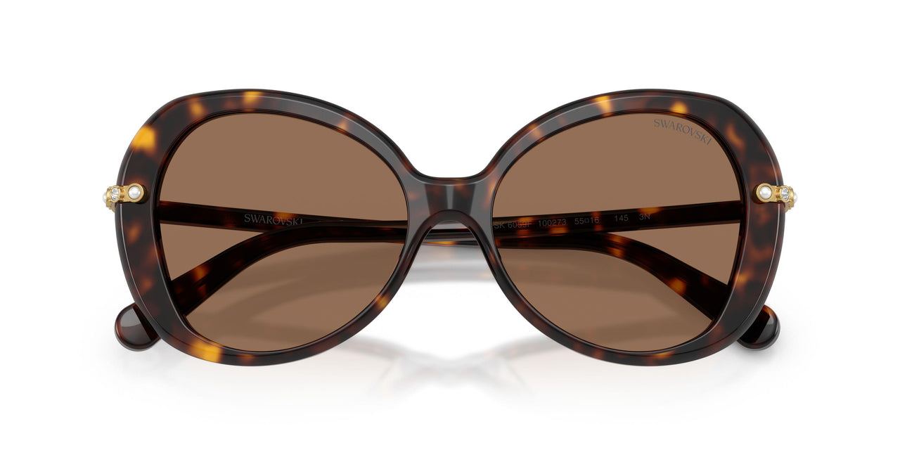 100273 - Tortoise - Dark Brown