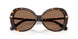 100273 - Tortoise - Dark Brown