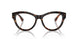 3002 - Brown