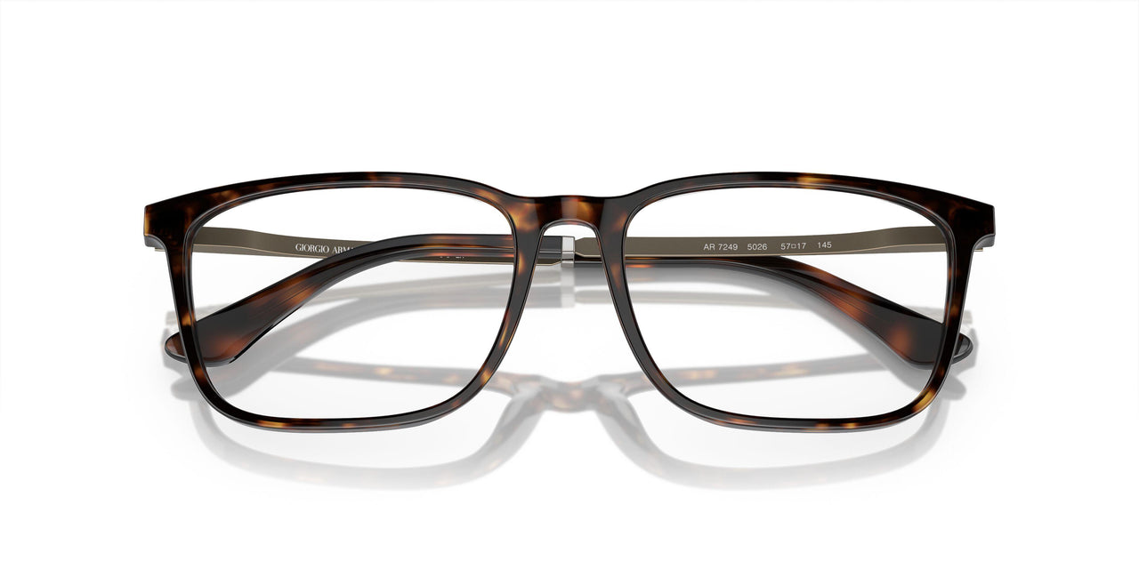 5026 - Tortoise