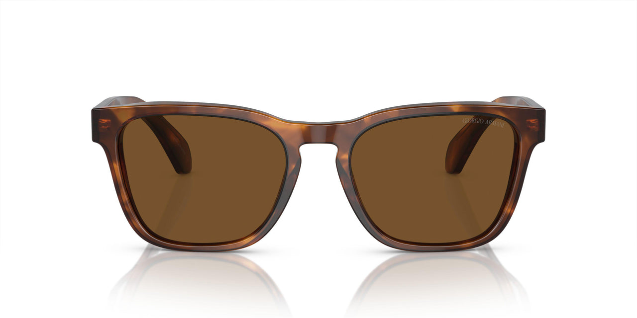 598857 - Red - Polar Brown