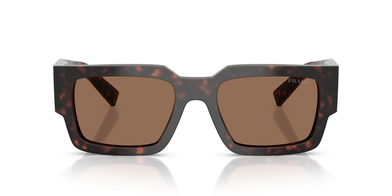 17N06B - Tortoise - Dark Brown